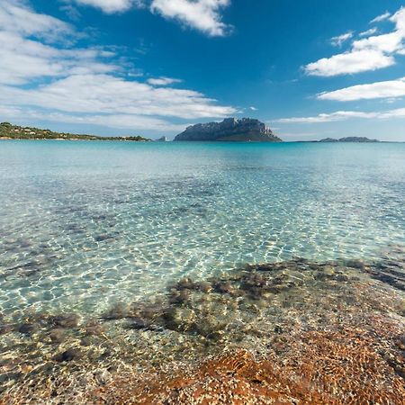 Villa Majra - Klodge Olbia Zewnętrze zdjęcie